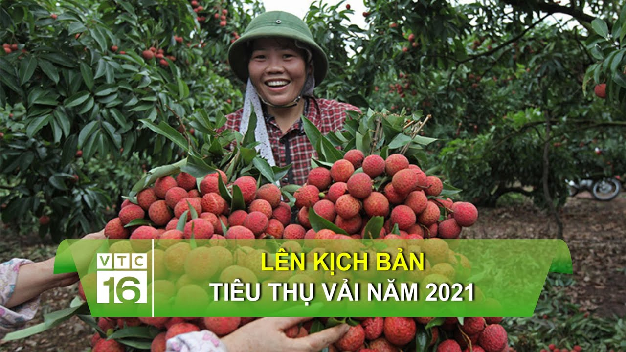 Đề xuất cách tính lương dạy thêm cho giáo viên