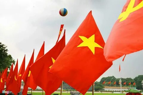 Trực tiếp Futsal HDBank VĐQG 2025: Thái Sơn Bắc vs Trẻ TP.HCM